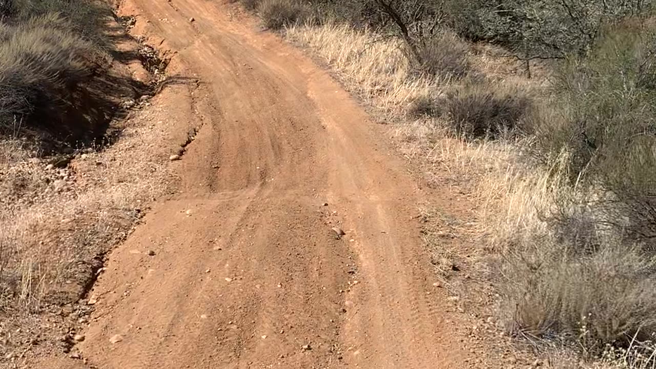 More rockfront action