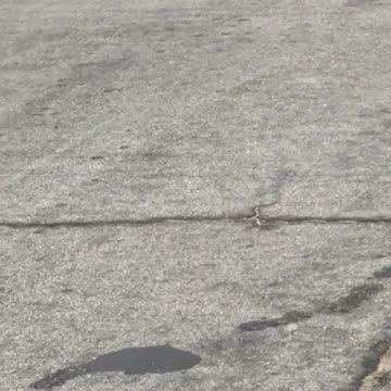 Guy slowly rollerblading parking lot
