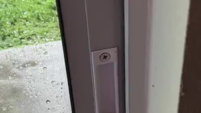 Installed Cal Security Double Bolt Lock - Sliding Glass Doors