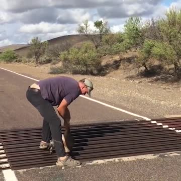 Kangaroo nearly breaks legs stuck on bridge