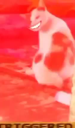 It's really annoying