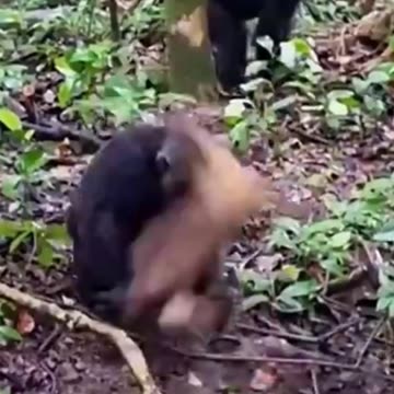 😱😱😱😱 #viral #rumble