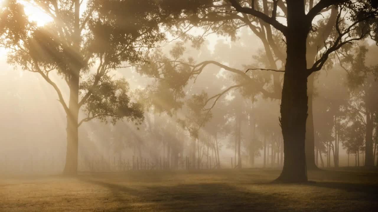 sunrise in nature