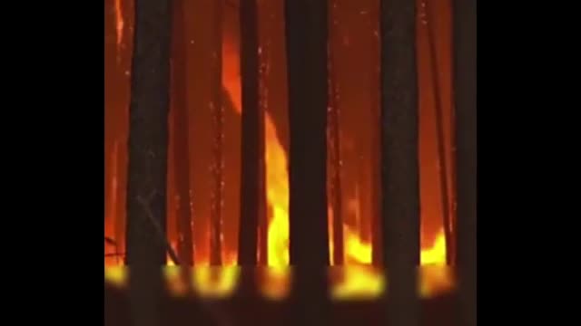 Argentine forest fires continue to burn nearly 800,000 hectares of land!