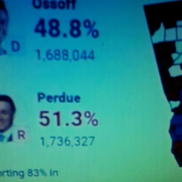 INTERNATIONAL WIDE ELECTION FRAUD VOTING MACHINE CRIME, GEORGIA RUNOFF SHAM ELECTION CRIME 58