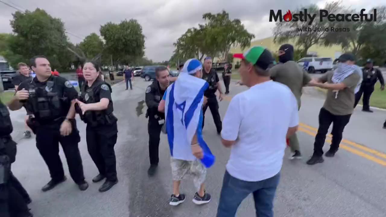 Pro-Palestine Hamas protesters clash with pro-Israel supporter in Florida