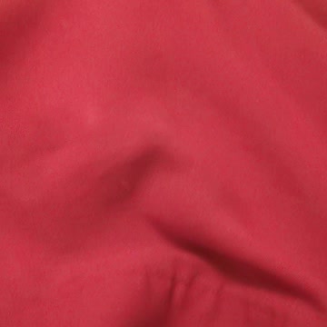 Playing find the pillow puppy