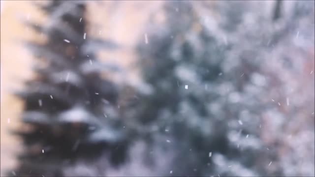 What an amazing video