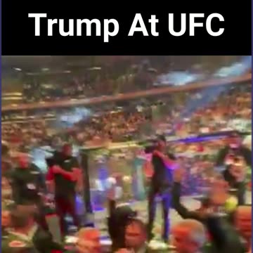 Trump At UFC
