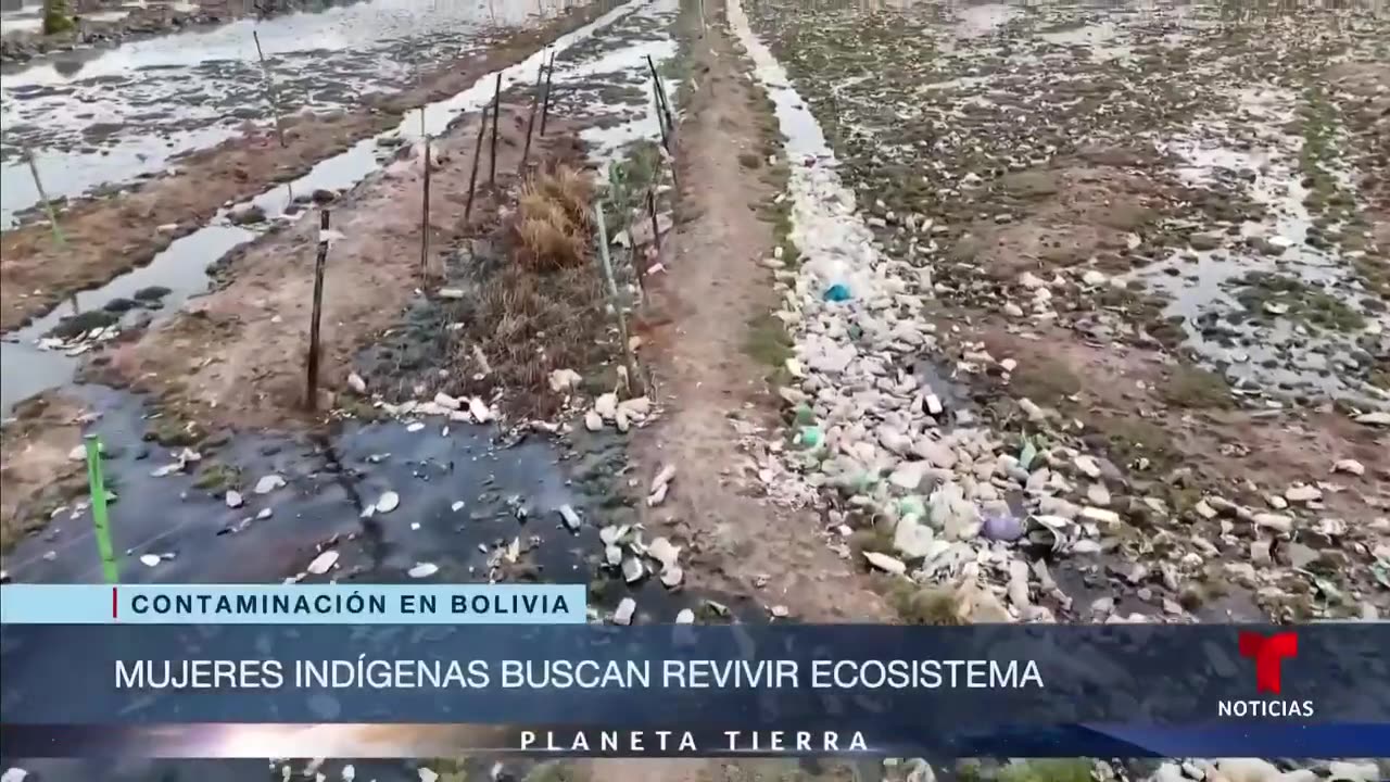 Planeta Tierra: Estas mujeres usan la sabiduría ancestral para limpiar un lago en Bolivia