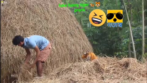 Tiger 🐅 prank। fake tiger 🐅🐯 funny prank video