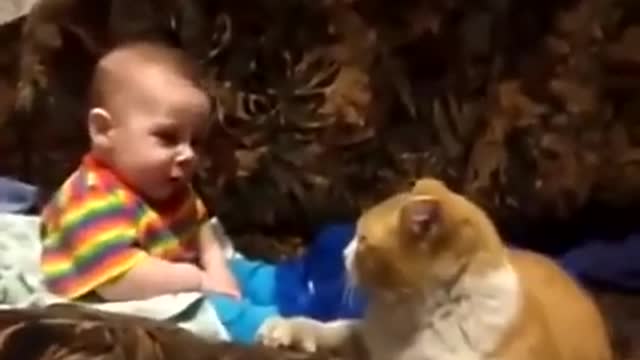 Baby playing with her cat 🐱