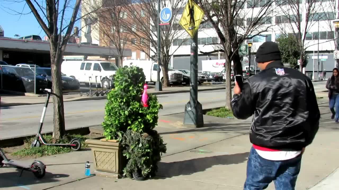 Funny bushman pranks