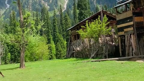 Natural Beauty of Kashmir