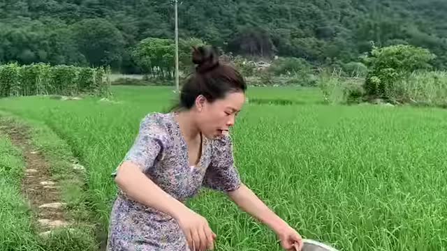 Best Asian Fishing 🐟 Primitive Fishing Techniques 🐟 #shorts