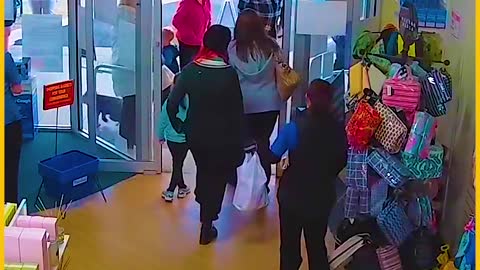 Koala Goes For Shopping Adventure