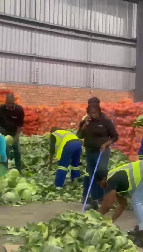 Pacina Retail's warehouses