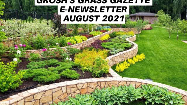 Grosh's Grass Gazette August 2021 Video E Newsletter