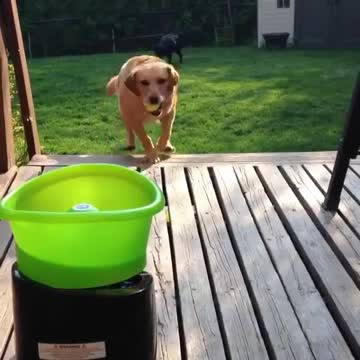 He is so happy with this game, What is the name of this toy?