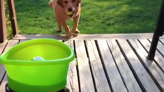 He is so happy with this game, What is the name of this toy?