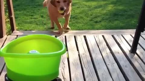 He is so happy with this game, What is the name of this toy?