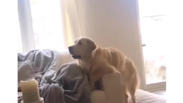 Probably_the_cutest_thing!!