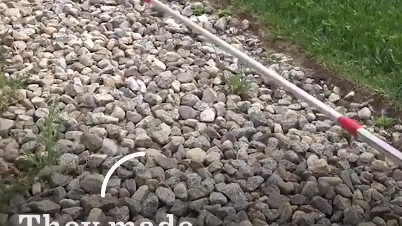 Cat, Her Kittens Rescued From Pipe Using RC Car + 60 Foot Pole | The Dodo