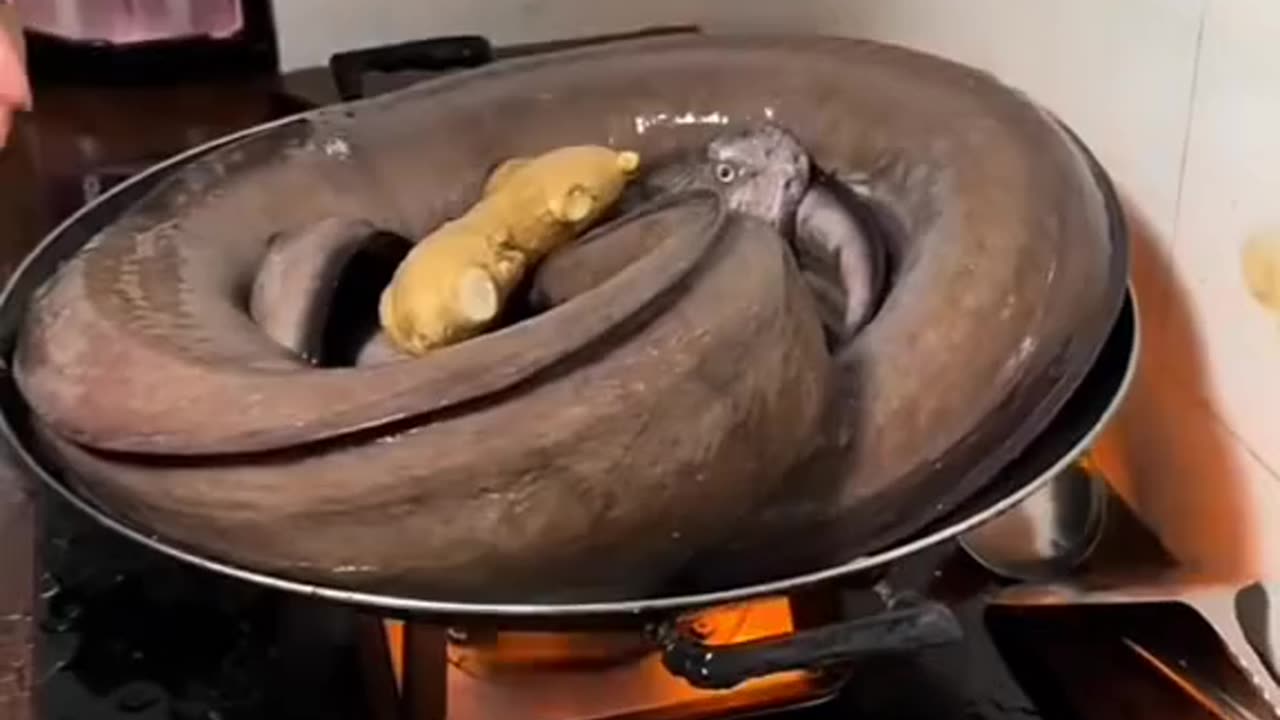 Giant eel fish cooking 😧😦 🔪