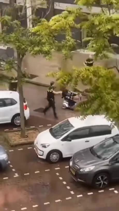 Meanwhile in the jewK feral muslim invaders are running free in the streets