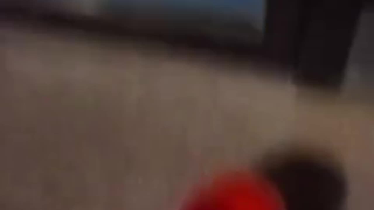 Gaza-aktivister vandaliserar L-kontoret