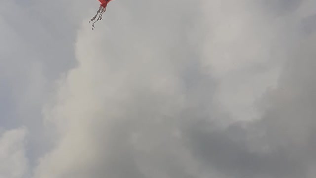 Kite blowing in the wind