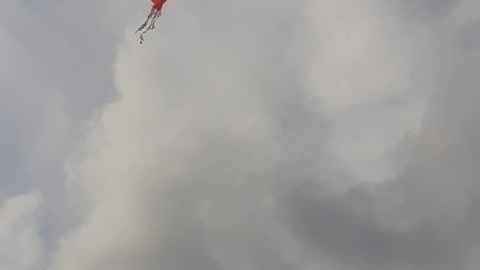 Kite blowing in the wind