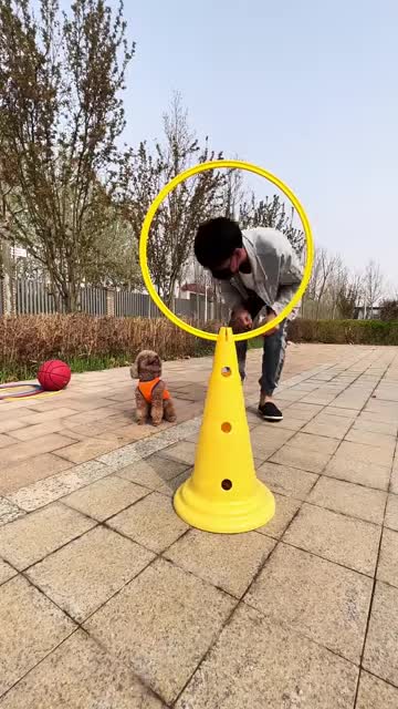 This dog does amazing things