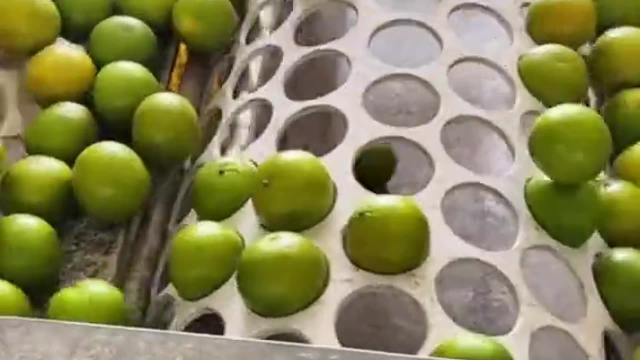 Fruit sorting by size 🍊🍋