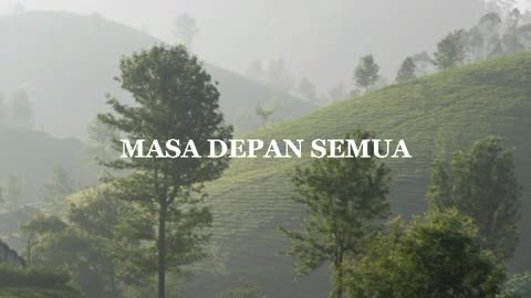 Hutan pinus