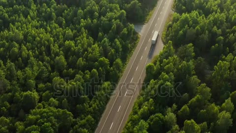 Forest road