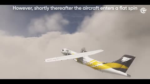 Worst Air Crash in 17 Years | Crashing Moments Before Landing (With Real Video)