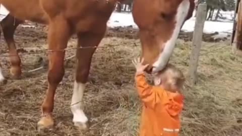 Horse love 💟