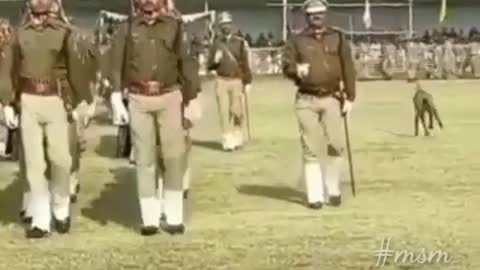 Monkey kicking an Indian police officer