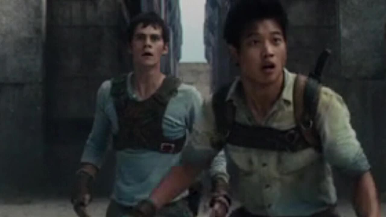 Maze runner