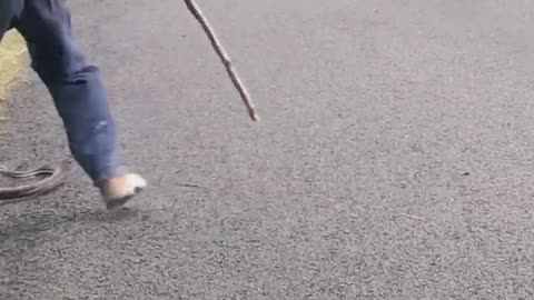 Man Keeps Icy Cool While Removing Snake