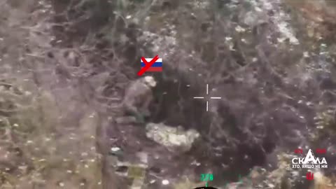 Ukrainians Storm Russian Positions Near Pokrovsk