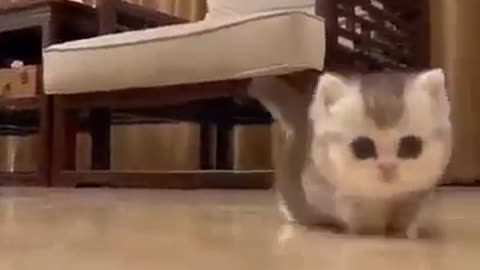 Aww I wish I had one like that…