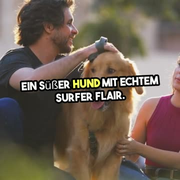 Süßer Golden Retriever