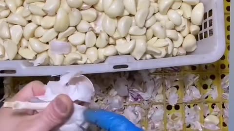 How to peel garlic fast