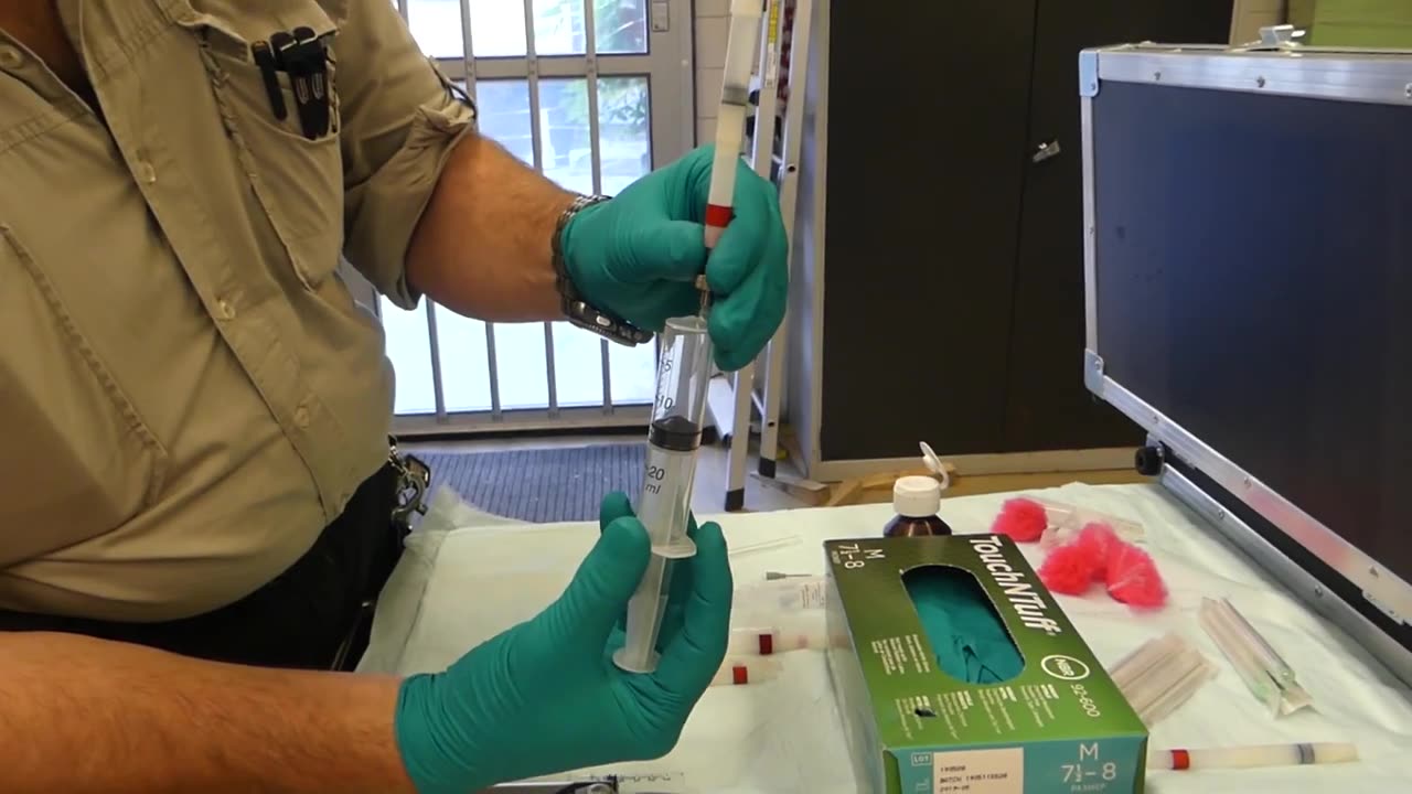 DanInject Dart Loading Video Demonstration