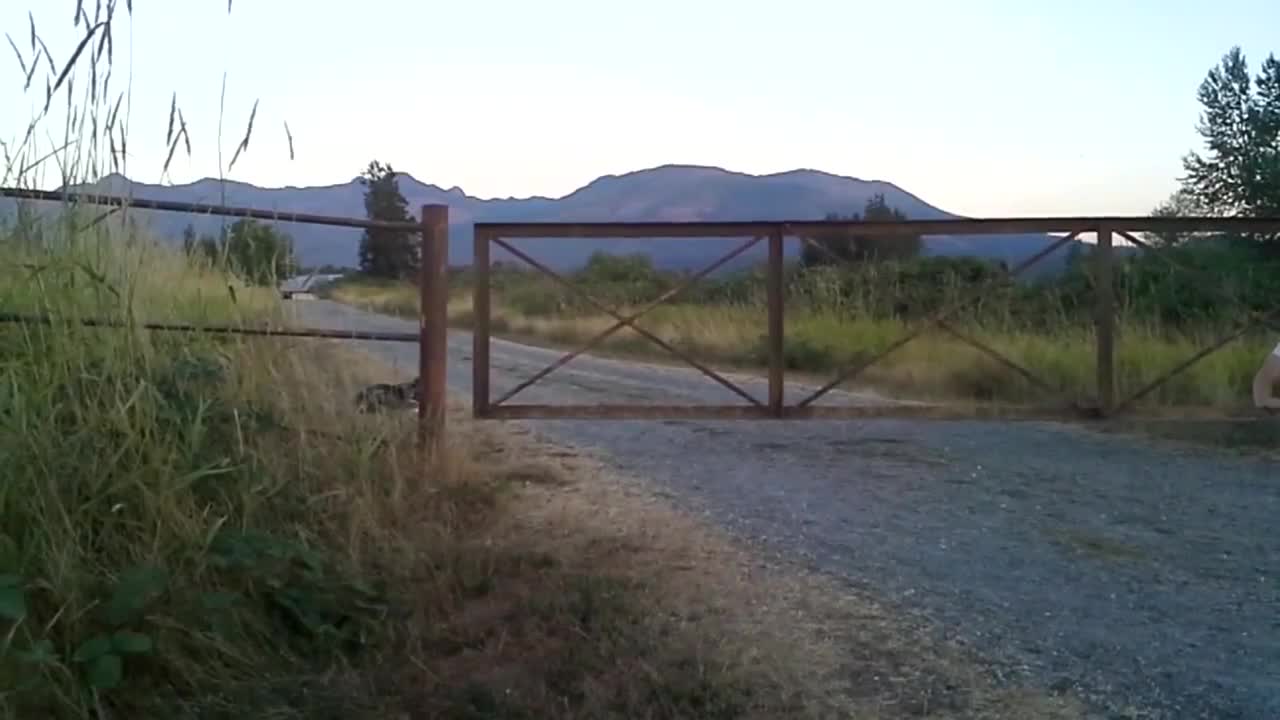 This Gate At An Abandoned Mental Hospital Creates Strange Sounds