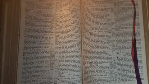 Zechariah 11