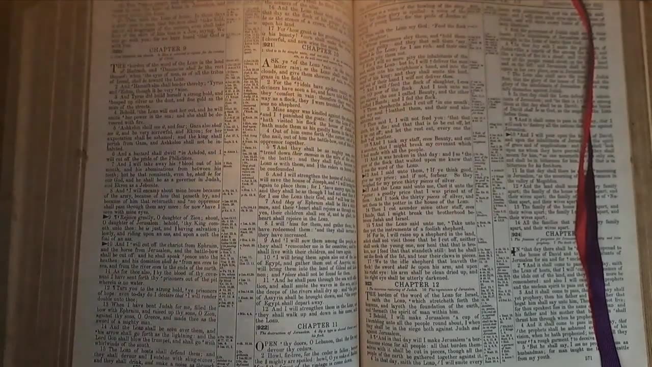 Zechariah 11