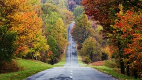 The Hills of SW Virginia